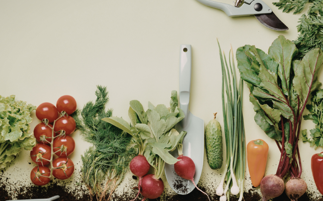 Eko Skola: But surely we have enough?