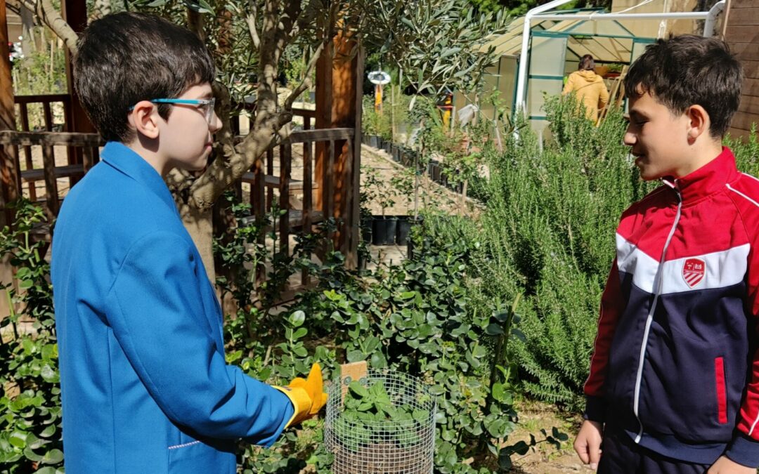 EkoSkola: Small island, fragile plate